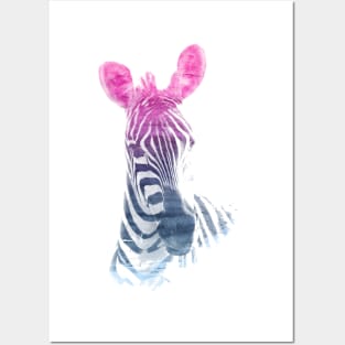 Zebra Superimposed Watercolor Posters and Art